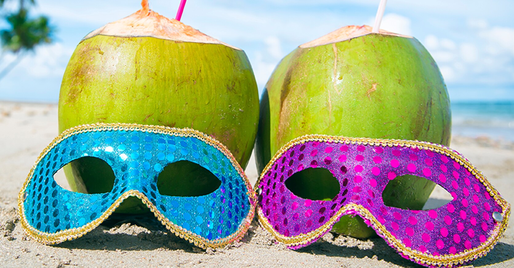 Cruzeiros de Carnaval, coqueiros na praia, Carnaval | MSC Cruzeiros