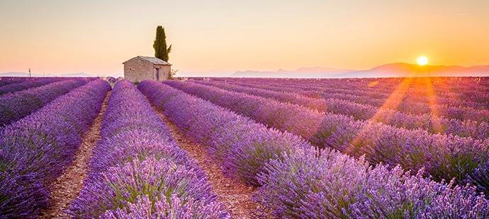 Marselha, Provença, França | MSC Cruzeiros Marselha, Provença, França | MSC Cruzeiros