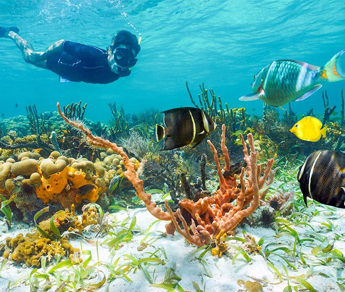 México Costa Maya | MSC Cruzeiros