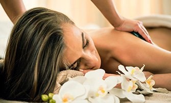 spa   link na bio   335x202