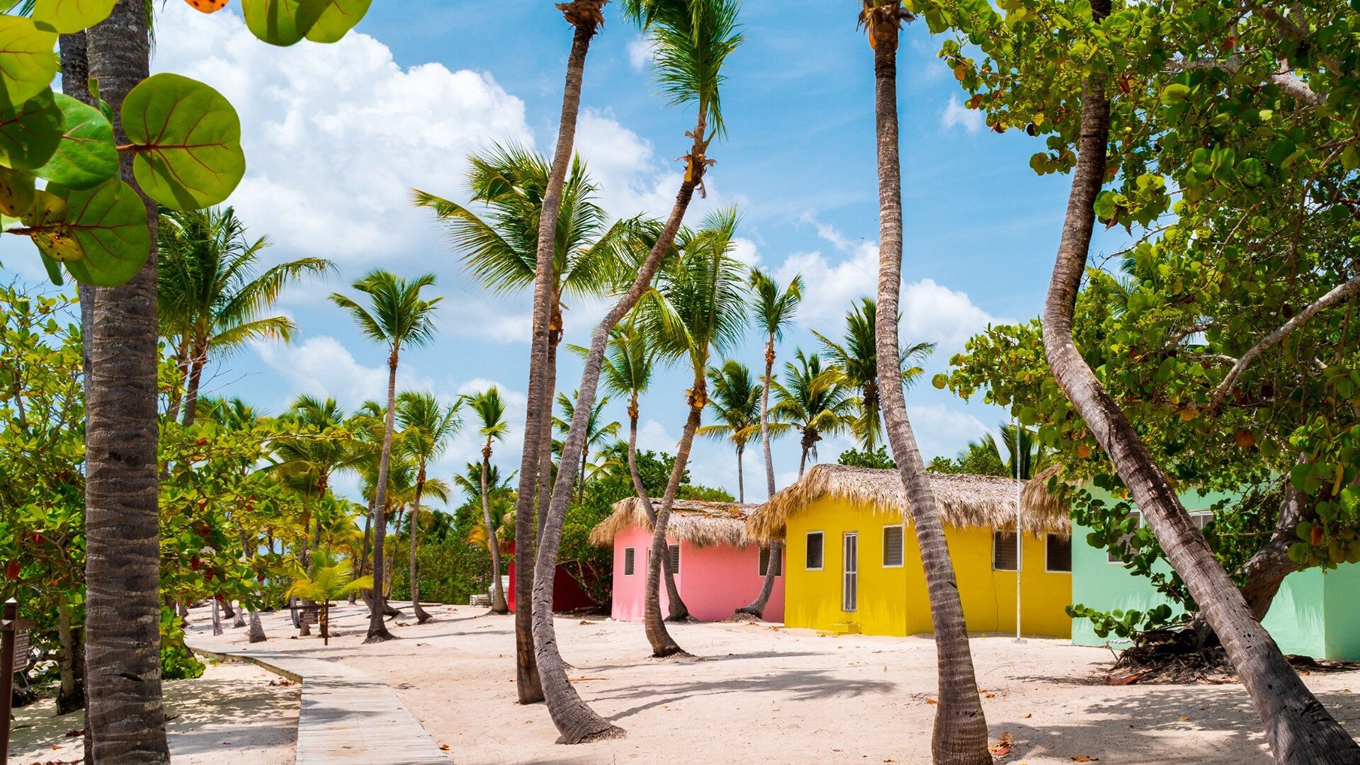 Ilha Catalina, destinos do Caribe Sul | MSC Cruzeiros 