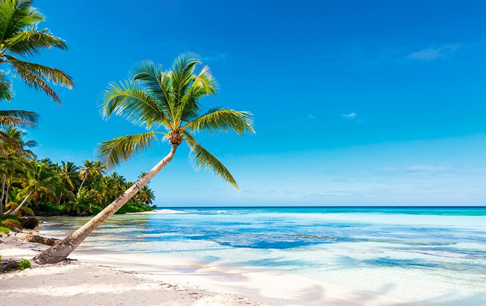 La Romana, Caribe Sul e Antilhas - Cruzeiros pelo caribe | MSC Cruzeiros 