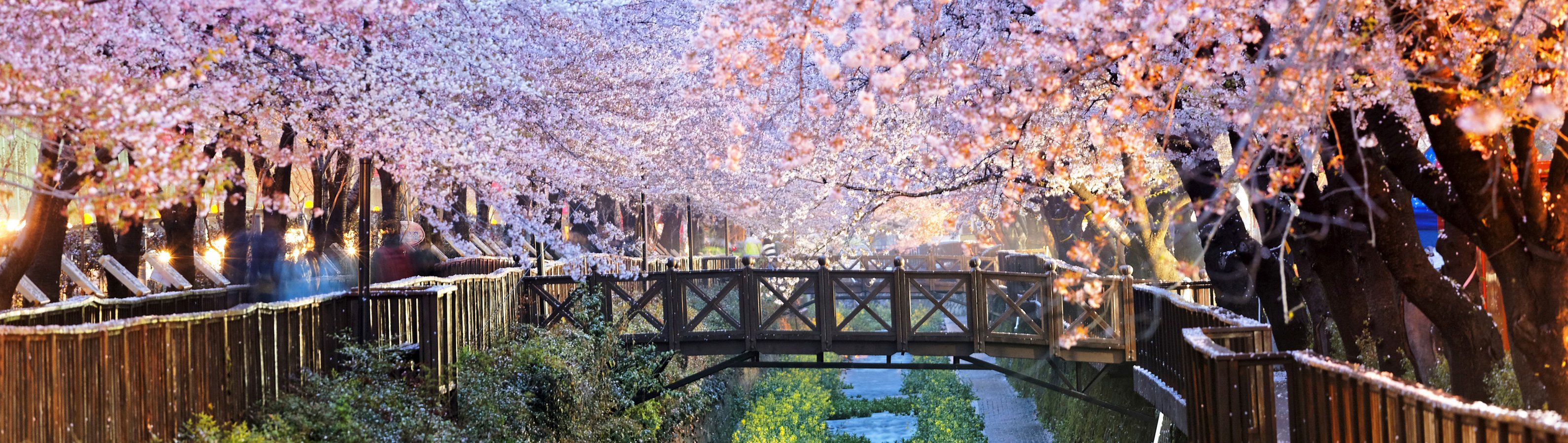 fyc_fae_14 itineraryImageDesktop