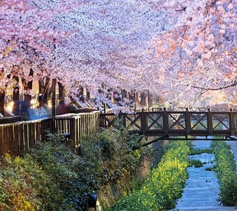 fyc_fae_14_mobile Mobile Image