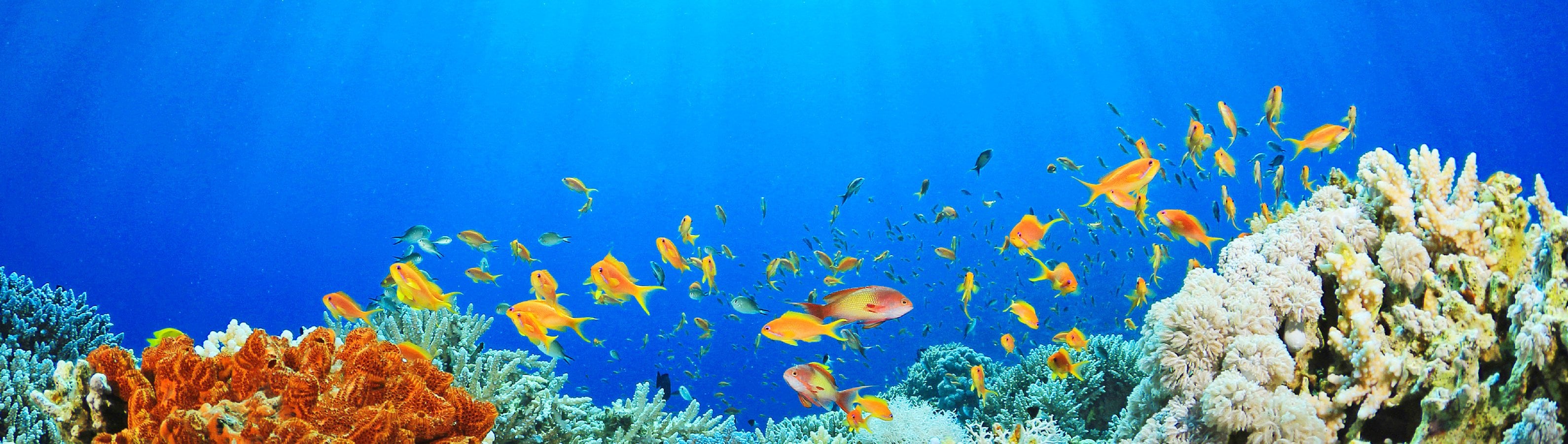 fyc_car_10 itineraryImageDesktop