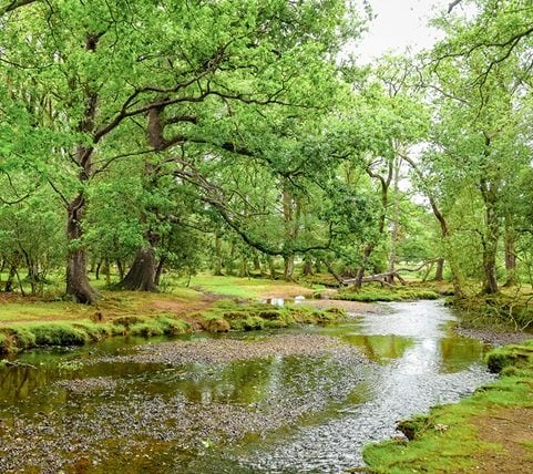 nor_msc24026719_mobile Mobile Image