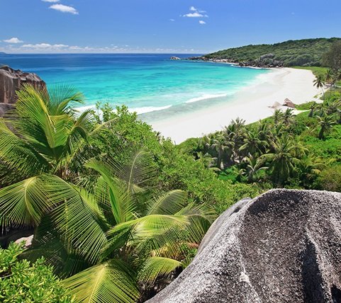 fyc_saf_17_mobile Mobile Image