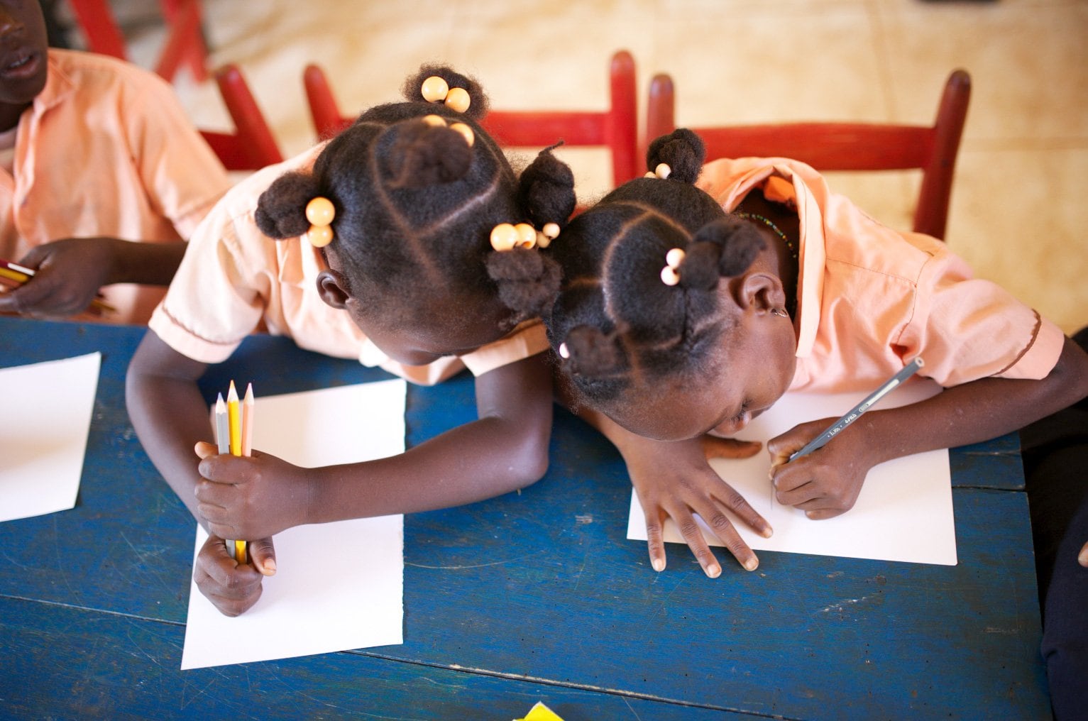 pet, Foundation, pet, Foundation,