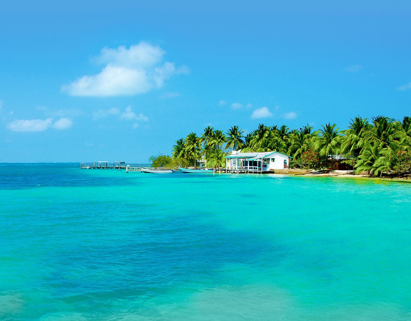 Deals, Choose and Cruise Caribbean | MSC Cruises