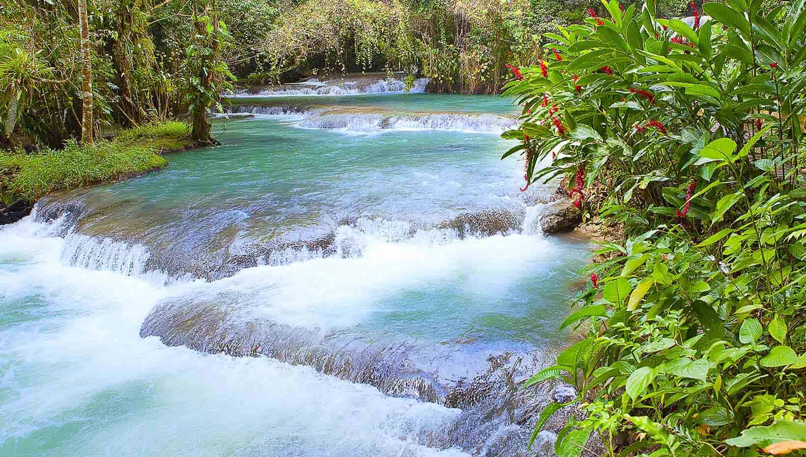 A serene tropical river with cascading waterfalls surrounded by lush greenery | MSC Cruises