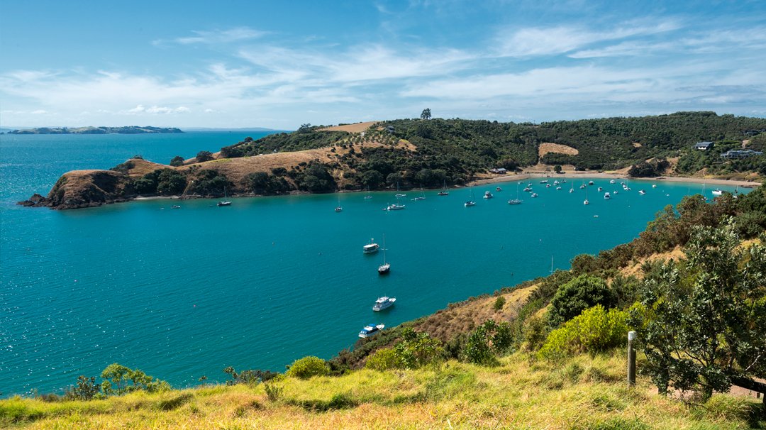 MSC World Cruise, Auckland | MSC Cruises