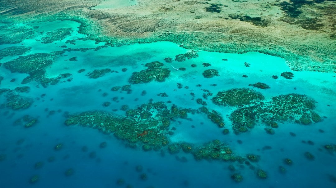 MSC World Cruise, Cairns | MSC Cruises MSC World Cruise, Cairns | MSC Cruises