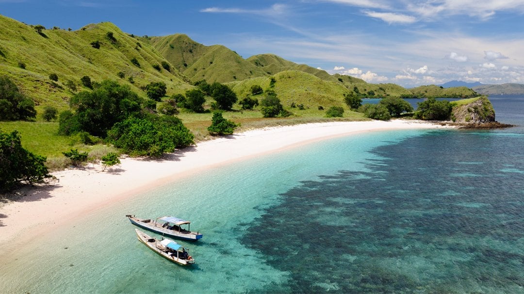 MSC World Cruise, Komodo | MSC Cruises MSC World Cruise, Komodo | MSC Cruises