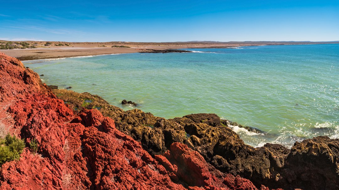 MSC World Cruise, Puerto Madryn | MSC Cruises