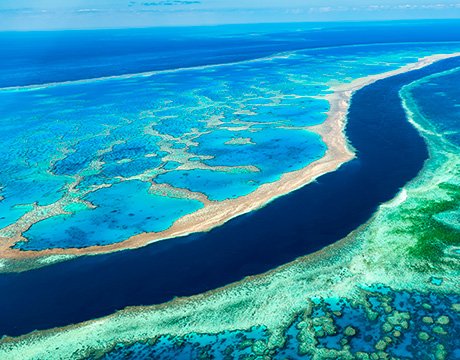 MSC World Cruise 2026 | MSC Cruises