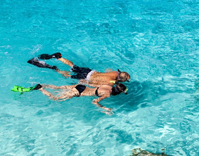 Ocean Cay, Excursions | MSC Cruises