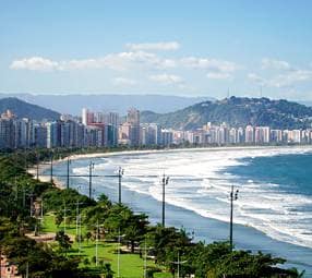 The beach garden The beach garden