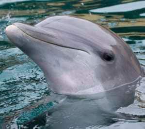 Fury Catamaran Fury Catamaran