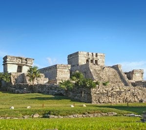 An ATV jungle ride An ATV jungle ride