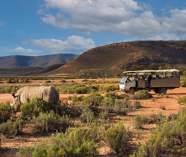 Cape Town tours, Aquila Private Game Reserve | MSC Cruises