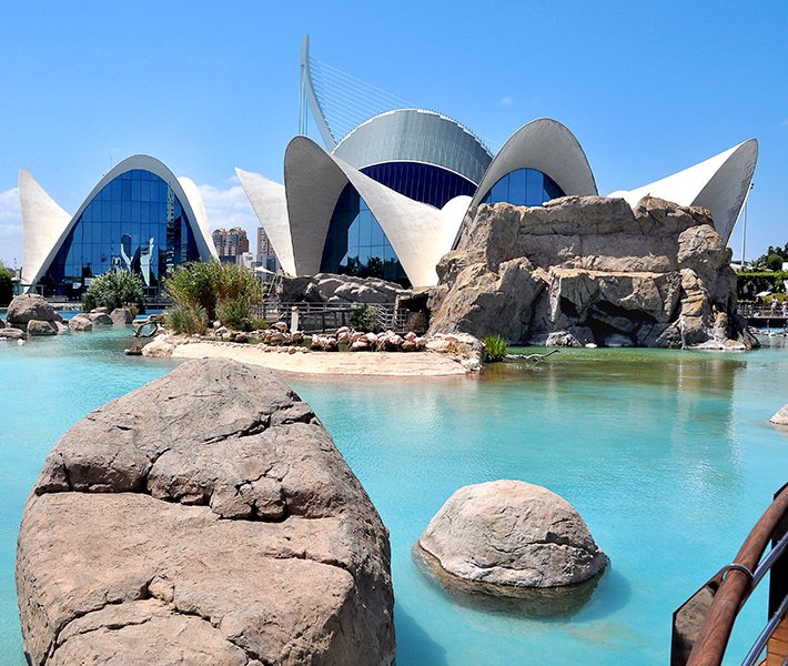 Valencia tours, Oceanogràfic | MSC Cruises