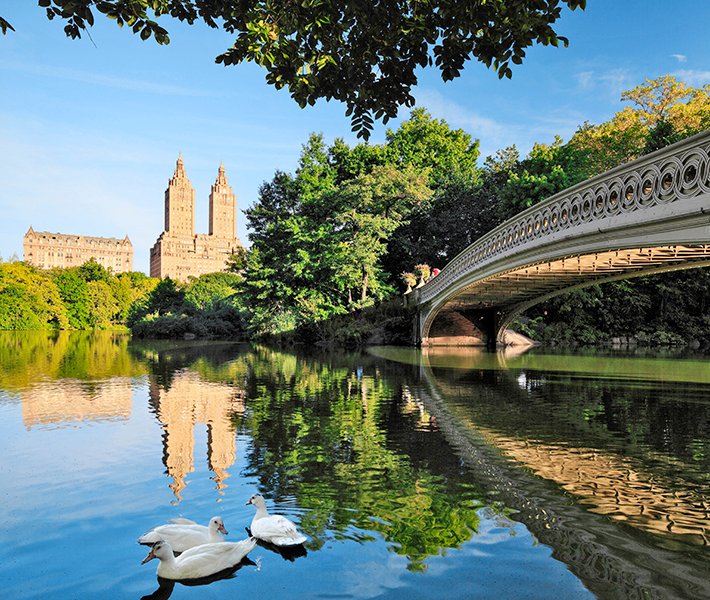 New York tours, Central Park | MSC Cruises