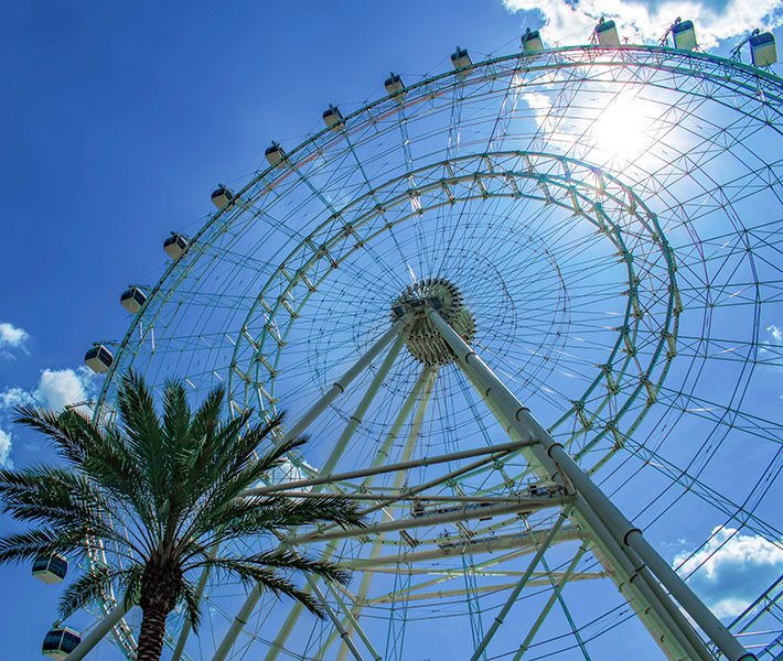 Passeios em Port Canaveral, Parque Temático | MSC Cruzeiros