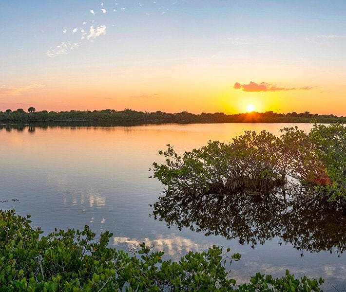 Port Canaveral tours, Merritt Island National Wildlife Refuge | MSC Cruises