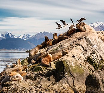 Ushuaia | MSC Cruzeiros