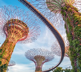 Singapura | MSC Cruzeiros