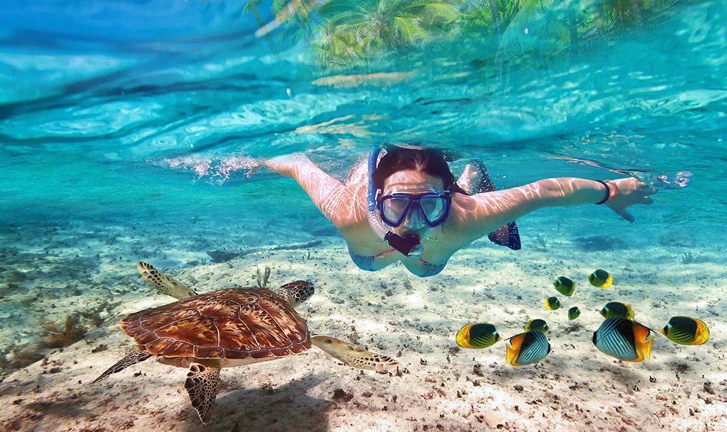 Excursion Explorer Package Caribbean | MSC Cruises